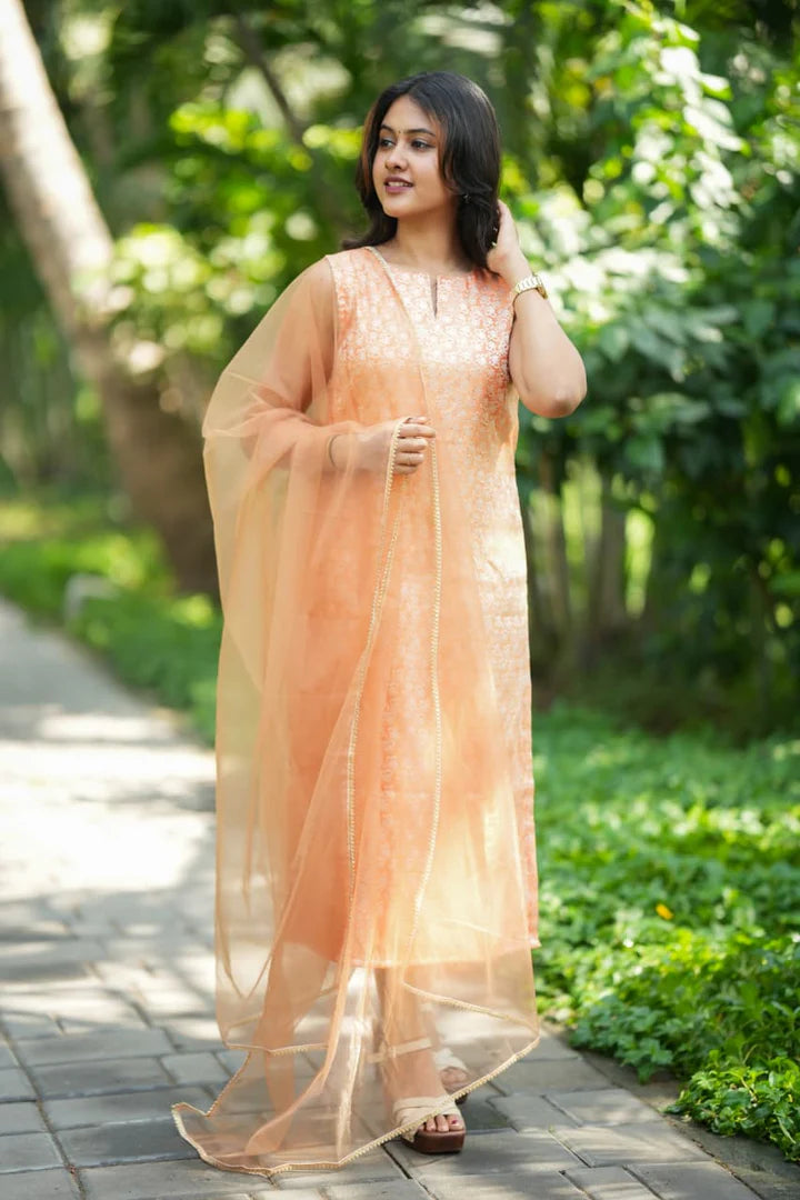 Vithya Series Premium Banaras kurti