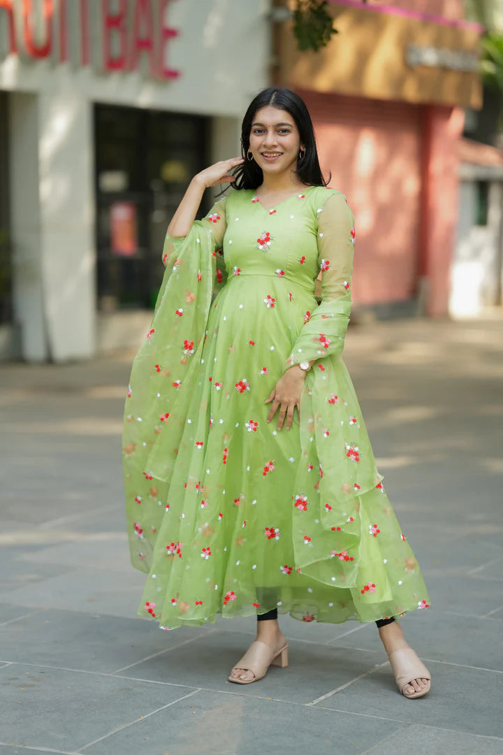 Ananya Series2 Premium Organza