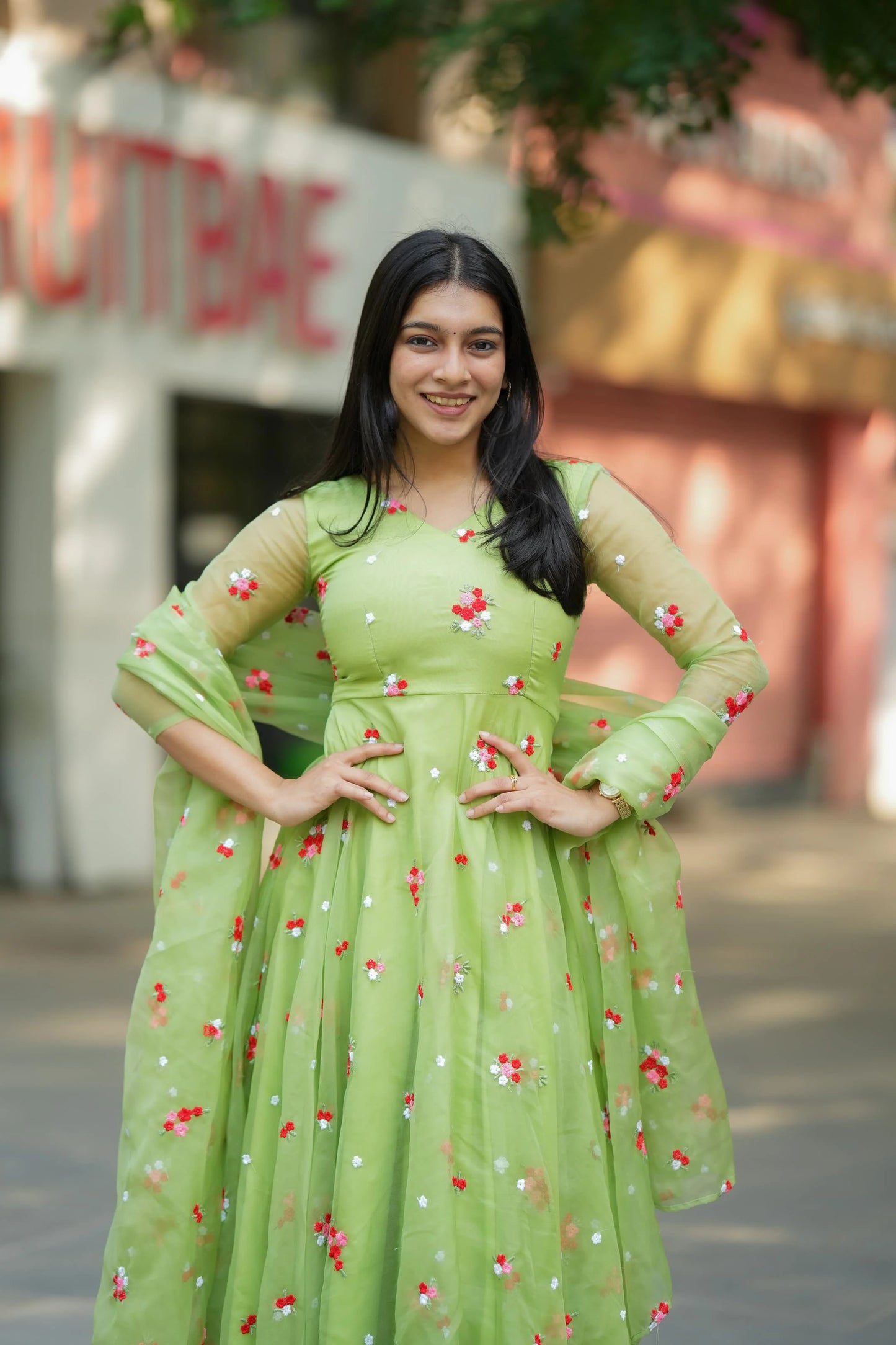 Ananya Series2 Premium Organza